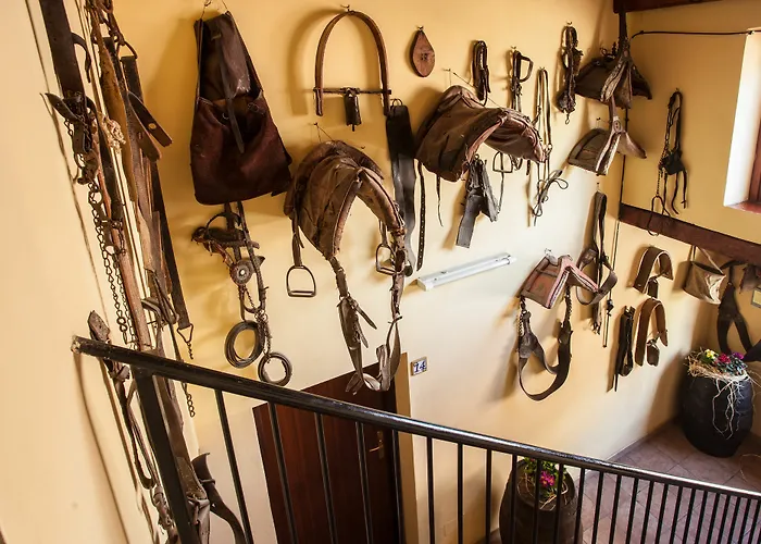 Hotel apartamentowy 2000 3*